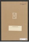 Diatomeae indet. Zeichnungen Sammlung Grunow Nr. 3740 (NHMW-BOT-W0371382)